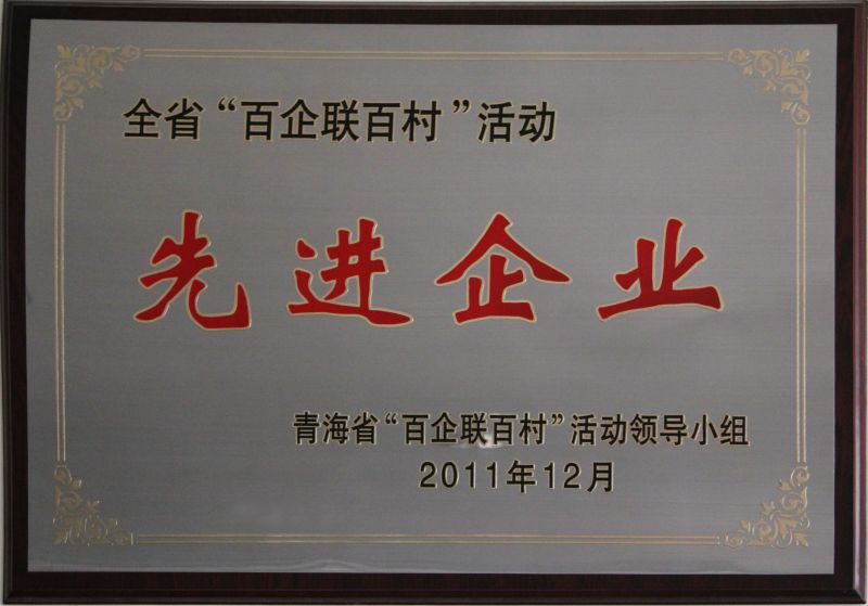 “百企聯(lián)百村活動”先進企業(yè)