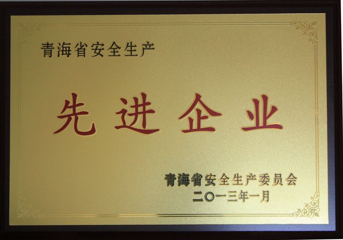 青海物產榮獲“2012年度安全生產先進企業(yè)”榮譽稱號